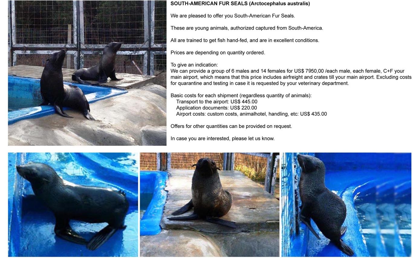 Offer of South-American Fur Seals