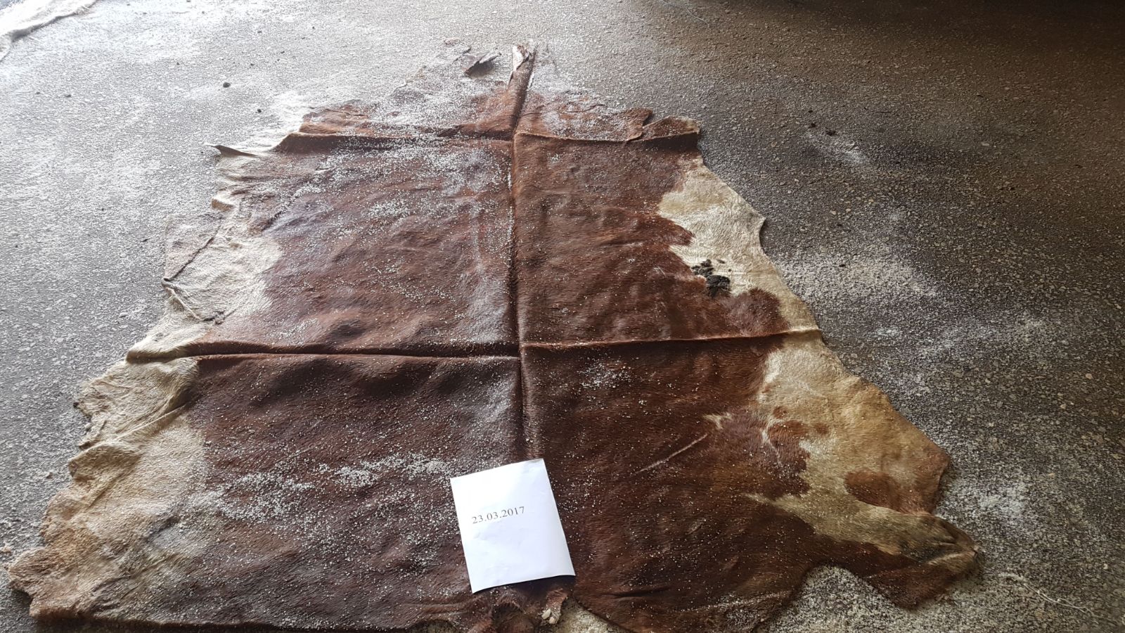 wet salted cow hides / Bosnia