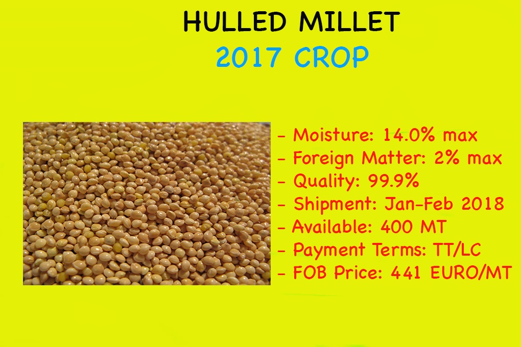 Hulled Millet | Ukraine