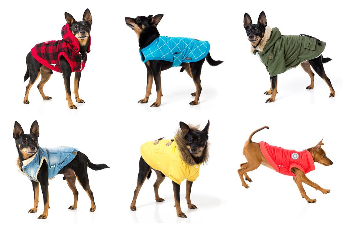 JACKETS & COATS for Dogs