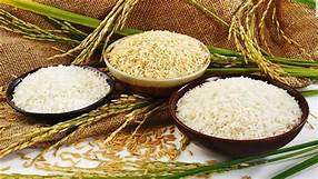 Vietnam Rice Quotation