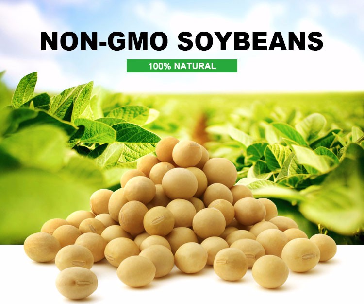 SOYBEAN Non-GMO OFFER