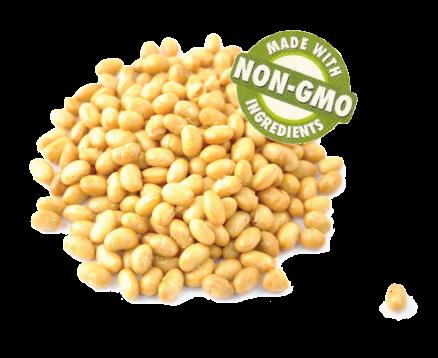 NON GMO SOYBEAN SPECIAL OFFER - 2.400.000 MT (200.000 MT x 12 months)