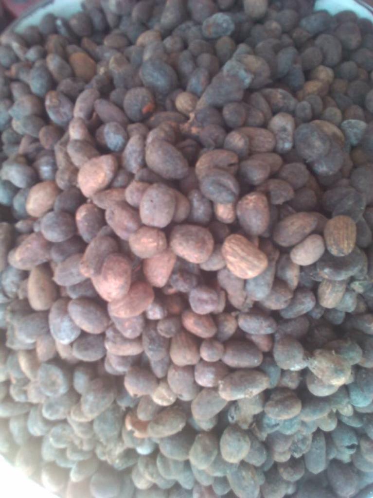 Shea Nuts offer / Status Request (Photos attached ) 