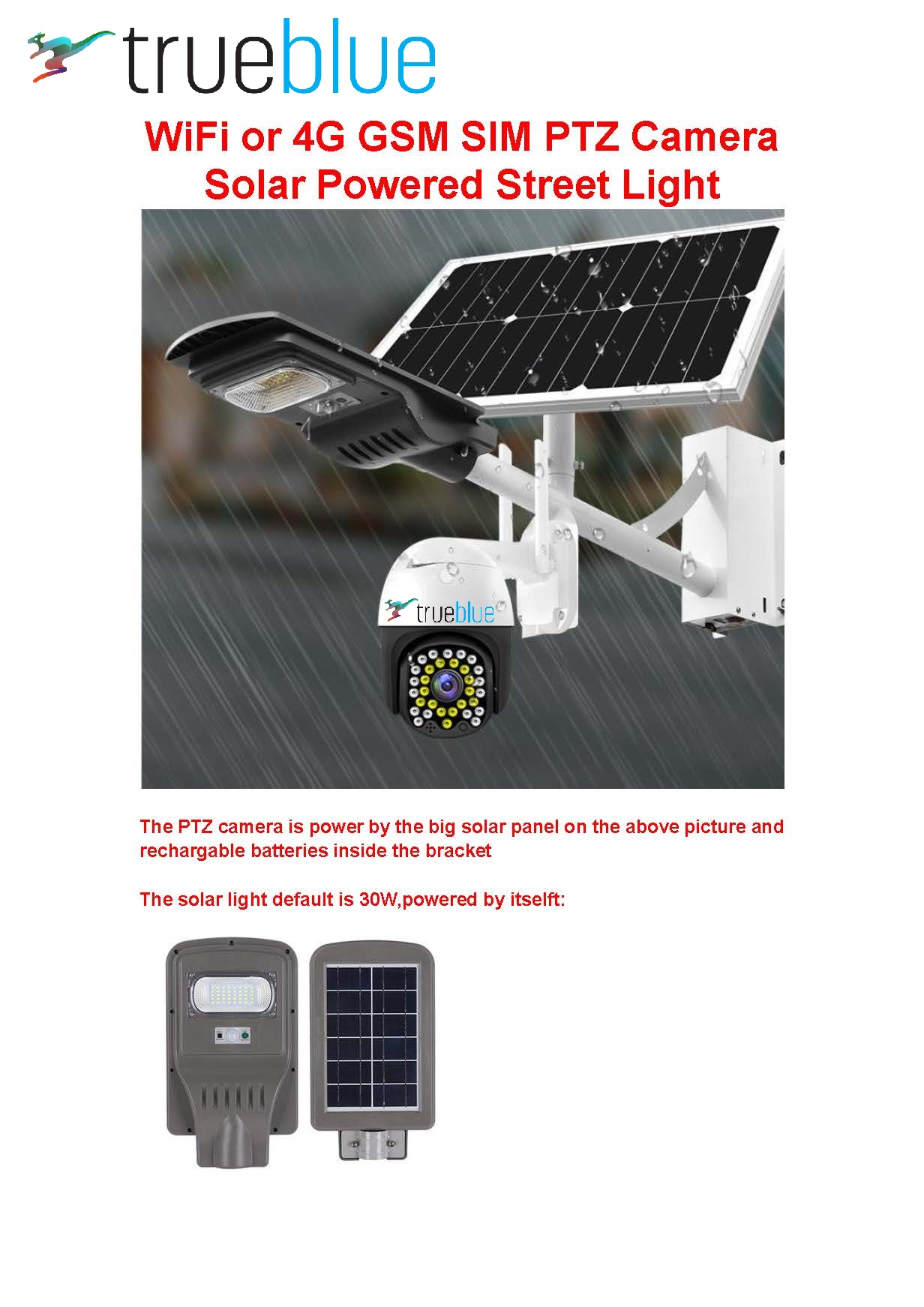 Intruder/Burglar Alarm PTZ Wireless IP Camera