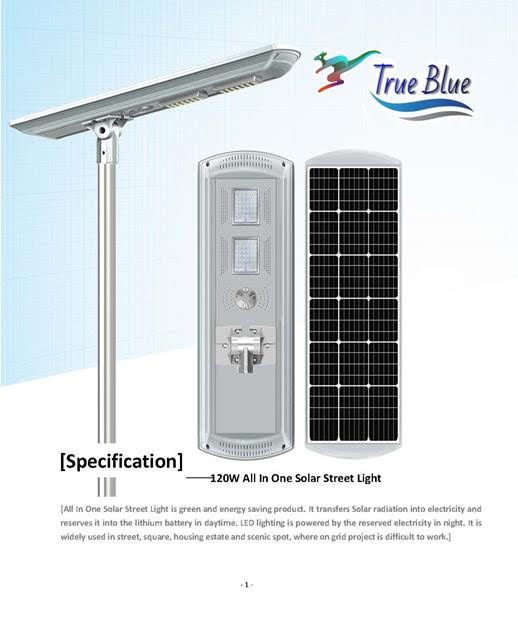 Strongest Solar Street Light for Government Projects