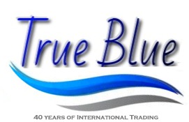 1000 cs  Absolut Blue 6 x 70cl x 40%  EURO 29.30 per case