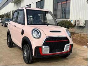 FALL IN LOVE WITH OUR LINE OF MINI ELECTRIC CARS 