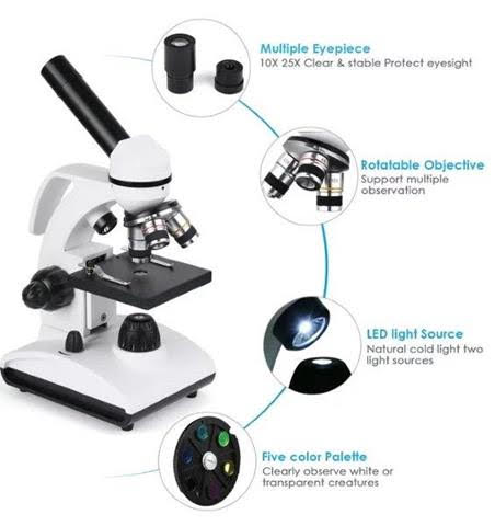 TELMU Microscope 40X-1000X Cordless LED Illumination Lab Compound Microscope