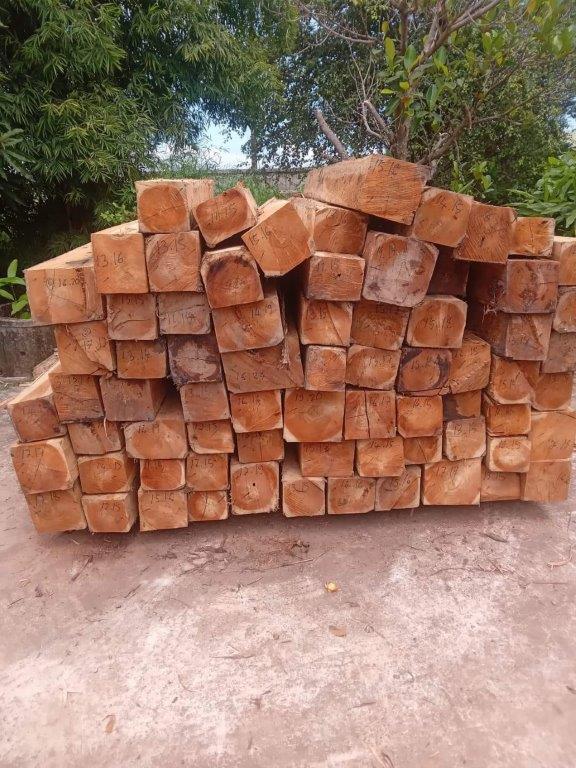 LOGS & TIMBERS FOR EXPORT CIF