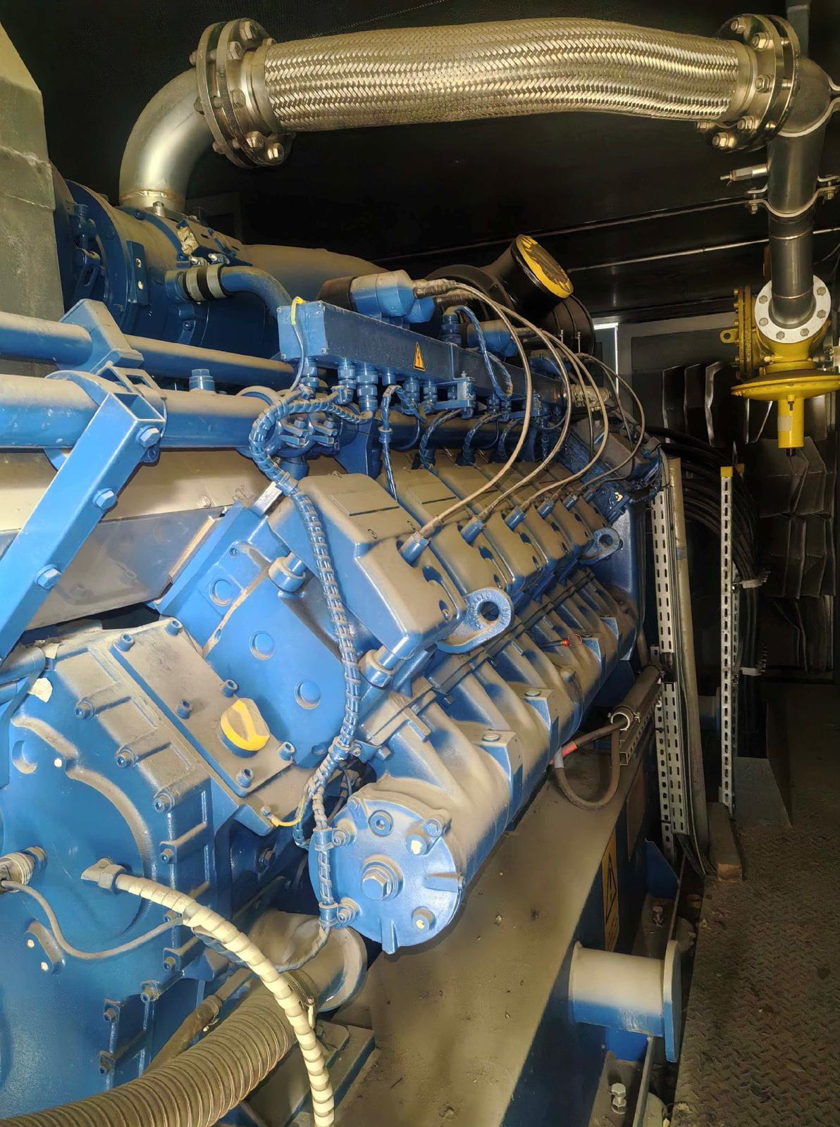 For sale MWM TCG2020V12