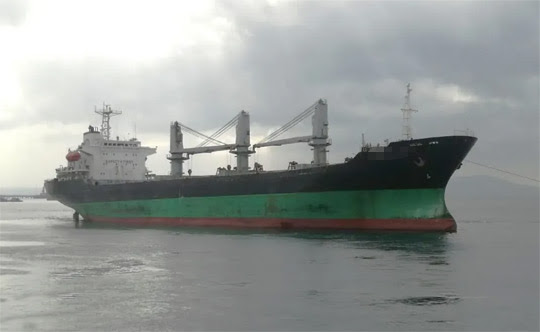 Ref. No. : BNC-BC-18315-96 (M/V TBN),  BULK CARRIER