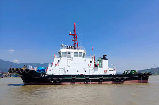 Ref. No. : BNC-TB-2500-24 (M/V LI FENG TUO 1),  TOWING TUGBOAT / CONVENTIONAL TUGBOAT