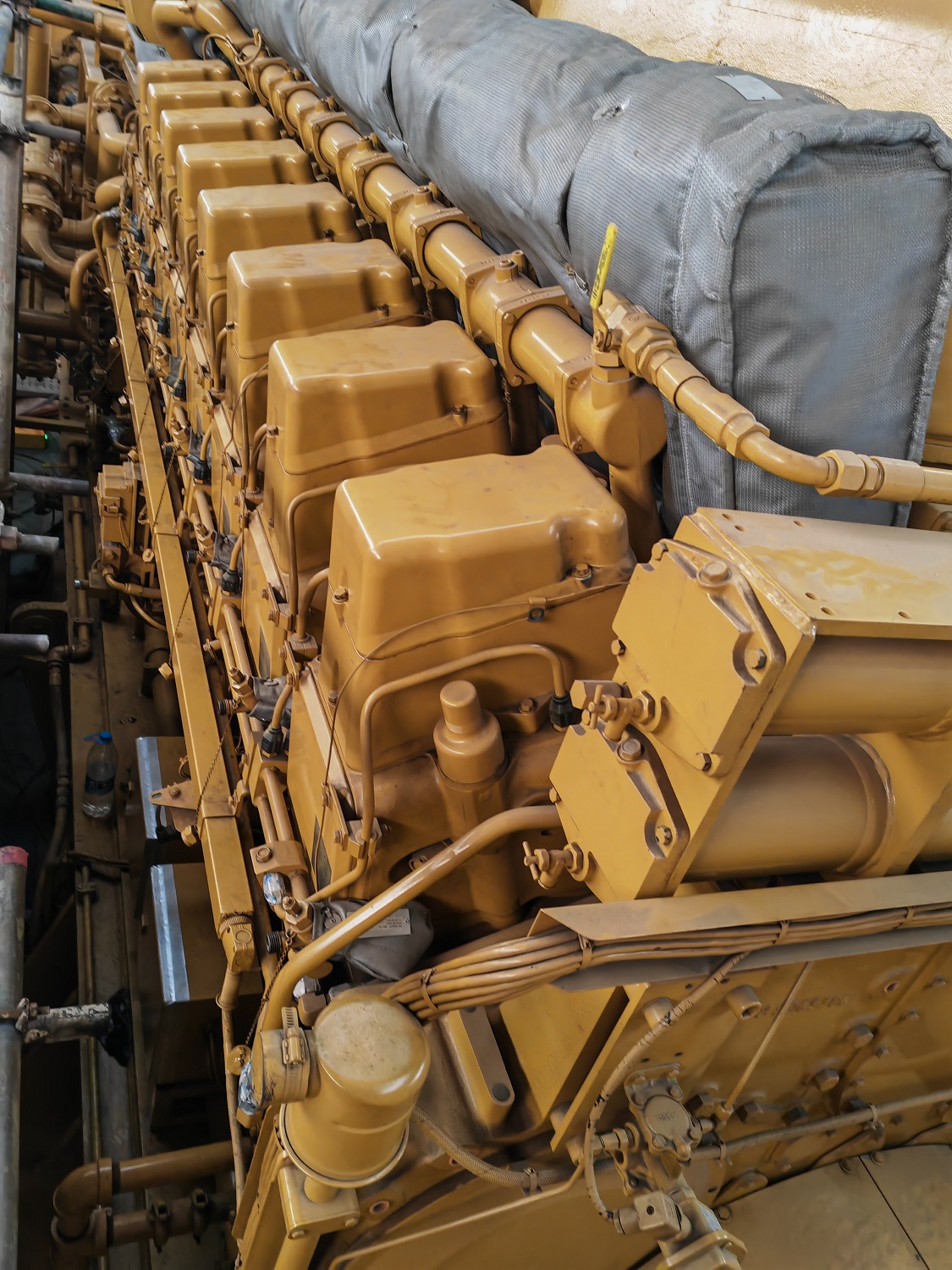 Cat 3616